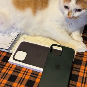 Apple iPhone 12 Pro Max silicon case (green). Gently used.